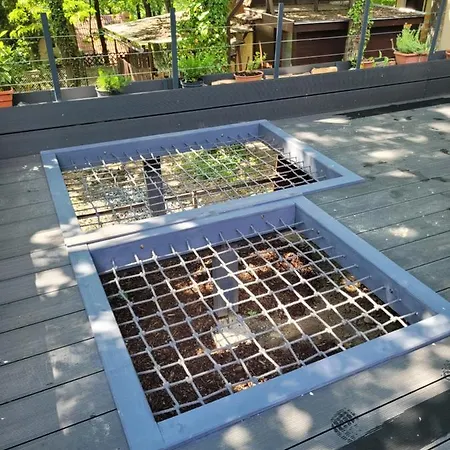 Tobozka Vendeghaz Chalet