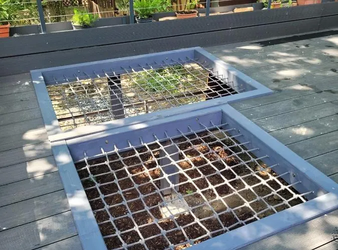 Tobozka Vendeghaz בקתה